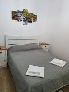 een slaapkamer met een bed met twee handdoeken erop bij Han Dunarea in Călăraşi