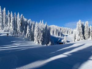 Το Olimpik House Jahorina τον χειμώνα +58 φωτογραφίες