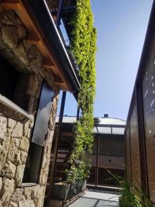 a building with ivy growing up the side of it at AIKEN 19 in San Martín de los Andes