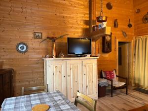 a living room with a television on a wooden wall at Le Mazot in Troistorrents