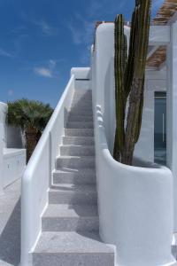Fotografie z fotogalerie ubytování Super Luxury Mykonos Villa Villa Saorsa 5 Bedroom Infinity Pool Panoramic Sea And Sunset Views Euaggelistraki v destinaci Dexamenes