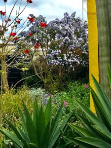 a garden with colorful flowers and plants at Sinclair Cottage in Port Lincoln