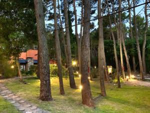 un grupo de árboles en un patio con luces en Kimbara Bosque y Mar en Mar de las Pampas