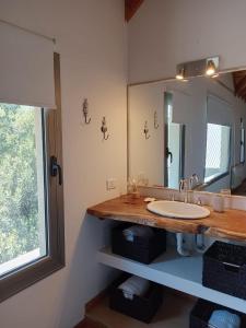 a bathroom with a sink and a large mirror at Casa de Huéspedes Villa Pehuenia in Villa Pehuenia