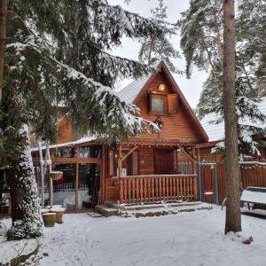 a log cabin in the woods in the snow at Tiny Wooden Cottage -Covasna in Reci