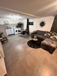 ein großes Wohnzimmer mit einem Sofa und einer Küche in der Unterkunft Belle île in Villers-le-Lac