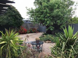 a garden with a bench in the middle of a yard at Sinclair Cottage in Port Lincoln