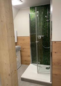 a bathroom with a shower with green glass tiles at Ferienhaus Mü in Rankwitz