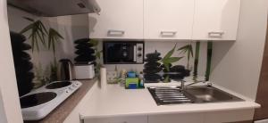 Kuchyň nebo kuchyňský kout v ubytování Apartment Schwarzach