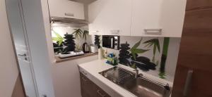 Kuchyň nebo kuchyňský kout v ubytování Apartment Schwarzach + 3 fotografie