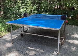 una mesa de ping pong con techo azul en Cinke cottage, nest in nature, en Kismaros