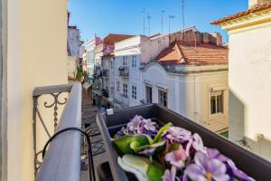 a pot of purple flowers on a balcony at Carmo´s Residence Art Apartments 2º in Setúbal
