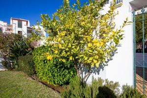 Fotografia z galérie ubytovania 55-Cosy Villa with private Pool in Miraflores, Mijas v destinácii Málaga