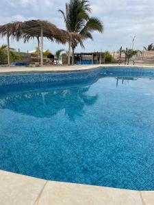 una gran piscina azul con una palmera en 9 Lunas en Zorritos