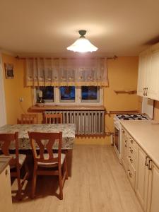 Küche/Küchenzeile in der Unterkunft Apartament między Strumykami