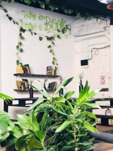 a plant in a room with a sign that says think gracious keeps a bush at Casa Egos Pop Laureles in Medellín