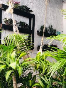 Zahrada ubytování Casa Egos Pop Laureles