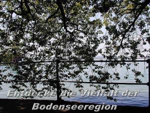 Foto sihtkohas Eichenberg asuva majutusasutuse Mühlenhof galeriist