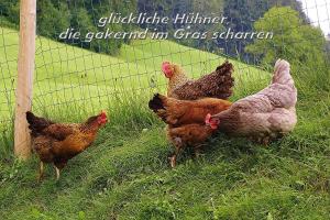 Foto sihtkohas Eichenberg asuva majutusasutuse Mühlenhof galeriist