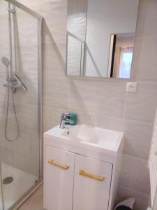a bathroom with a white sink and a shower at Chambre d'hôtes Orchidée in Levesville-la-Chenard +96 photos