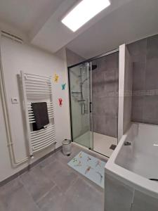 y baño con ducha y lavamanos. en La Tour du Château de Chaintré, en Chaintré