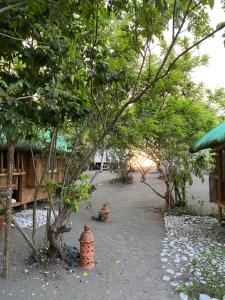 a garden with trees and a fire hydrant on the ground at La Luna Elyu 