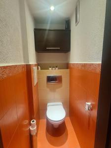 een kleine badkamer met een toilet en een televisie bij Best View Wroclaw in Wrocław