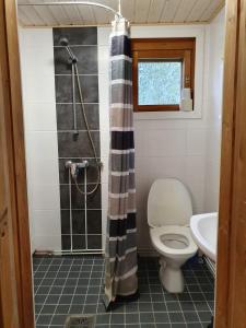 a bathroom with a toilet and a shower at Pitkämö Canyon Camping Oy in Kurikka +39 photos