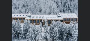 a building covered in snow next to a forest of trees at Bakuriani Kokhta-Mitarbi Resort in Bakuriani