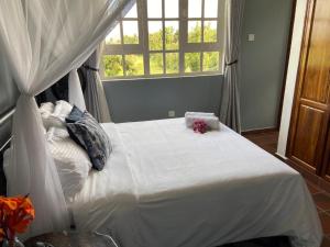 a bedroom with a large white bed with a window at Daria Apartment -Burka -3 minutes from Arusha Airport in Arusha
