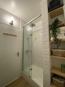 a shower with a glass door in a bathroom at Appartement cosy près de la gare avec parking in Saint-Pierre-des-Corps