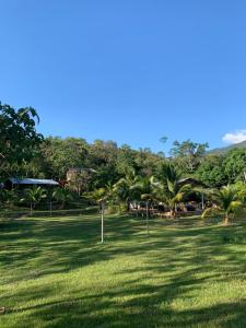 un campo de césped con palmeras a lo lejos en CHOCLINO ECOLODGE -Bungalows con Piscina privada, Mirador y Tours en la selva, en Tarapoto 42 fotos más
