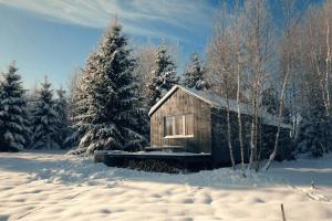 a small wooden cabin in the snow with trees at Hand made Off Grid forest Cabin Luna 