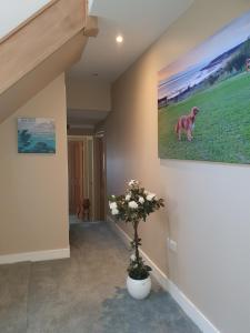 Fotografie z fotogalerie ubytování Maple Cottage B&B v destinaci Gullane