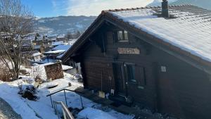 Chalet Siesta talvel