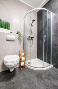 a bathroom with a toilet and a glass shower at Downtown Apartments Presley air-conditioned in Rzeszów