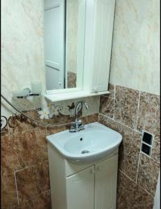 a bathroom with a white sink and a mirror at Achela's Guesthouse in Borjomi