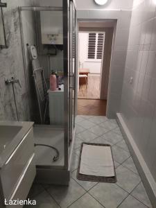 a bathroom with a shower and a sink at Mieszkanie blisko Targów Poznańskich in Poznań