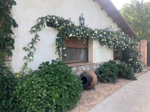 Zahrada ubytování casa rural La picotina