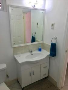 a bathroom with a sink and a mirror and a toilet at 1B Hastings Towers in Bridgetown