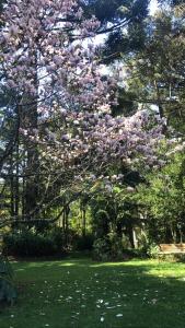 Jardín al aire libre en Apartamento Térreo do Lago Negro