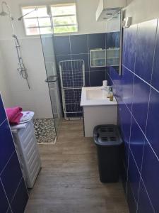 a small bathroom with a sink and a shower at Villa MARIE-GALANTE -Sainte-Anne in Sainte-Anne