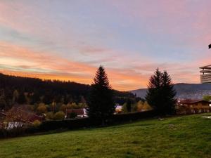 trawiaste pole z drzewami na wzgórzu o zachodzie słońca w obiekcie Gérardmer Appt 4/6 rez de jardin w mieście Gérardmer +3 zdjęcia
