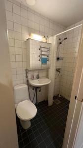 a bathroom with a toilet and a sink at Kallion helmi in Helsinki