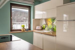 Kuchyň nebo kuchyňský kout v ubytování Penthouse Falkennest