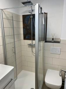 a bathroom with a shower with a toilet and a sink at Ferienwohung Arnstein Nr 2 in Waldeck