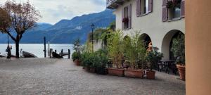 a building with potted plants next to a lake at Spacious apartment at Como lake in Mandello del Lario