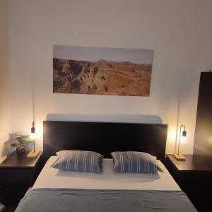 Кровать или кровати в номере Centar Apartman Dunavski park