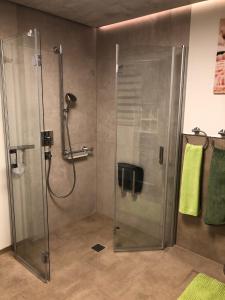 a shower with a glass door in a bathroom at Blick ins Wutachtal in Wutöschingen