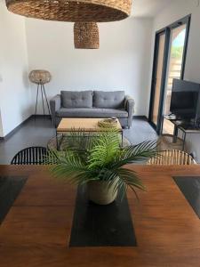 salon z kanapą i rośliną w obiekcie Maison La teste de Buch 3 chambres w mieście La Teste-de-Buch